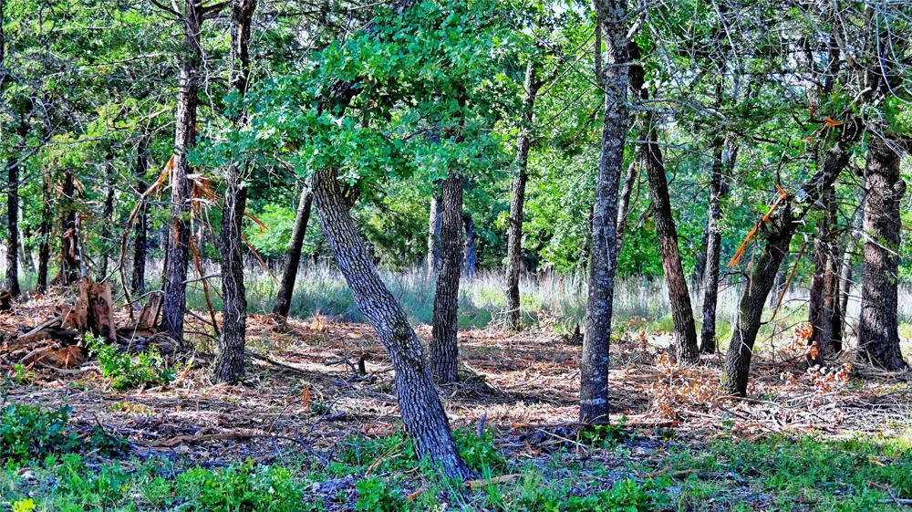 Preserve Court Sunset, TX 76270