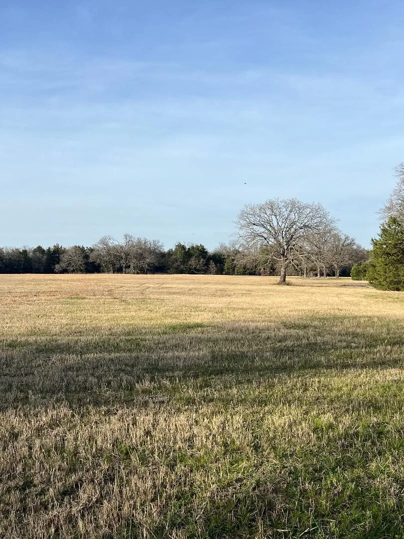 1711 County Road 3501 Wills Point, TX 75169