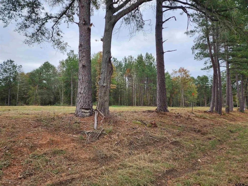 14386 County Road 363 Winona, TX 75792