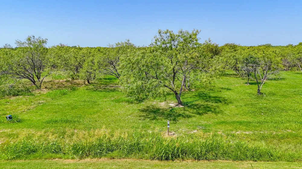 Richland Park Drive Corsicana, TX 75109