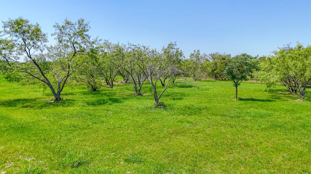 Richland Park Drive Corsicana, TX 75109