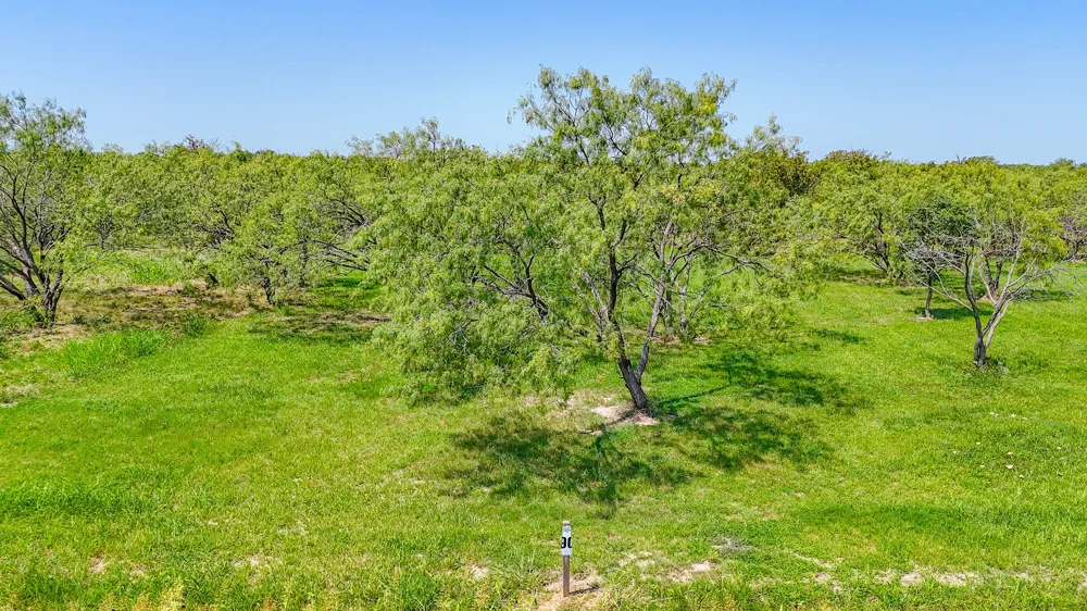 Richland Park Drive Corsicana, TX 75109