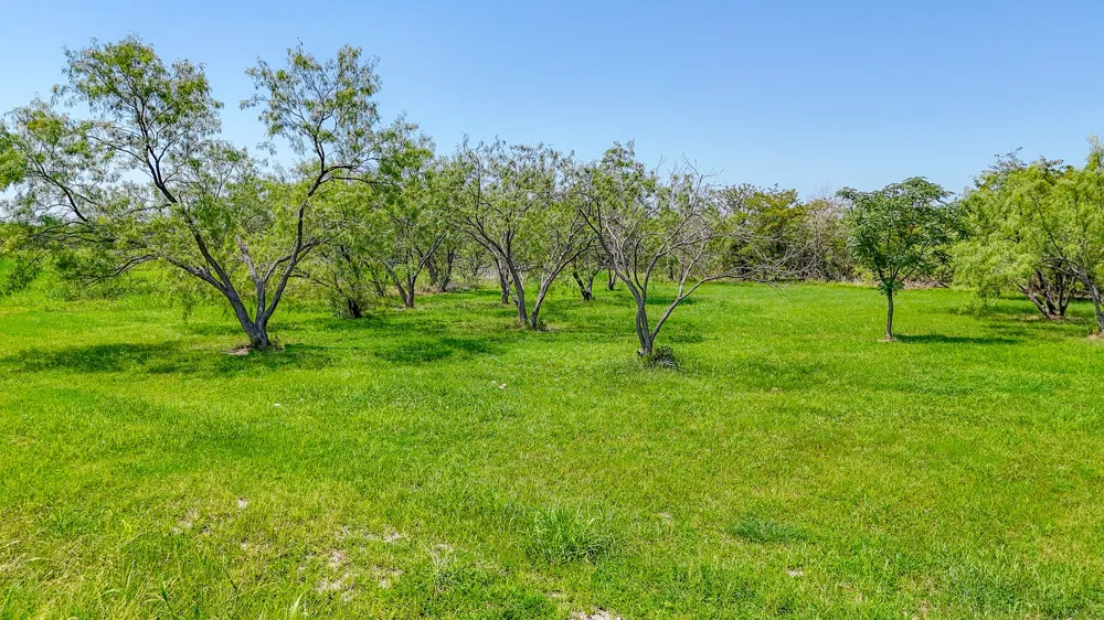Richland Park Drive Corsicana, TX 75109