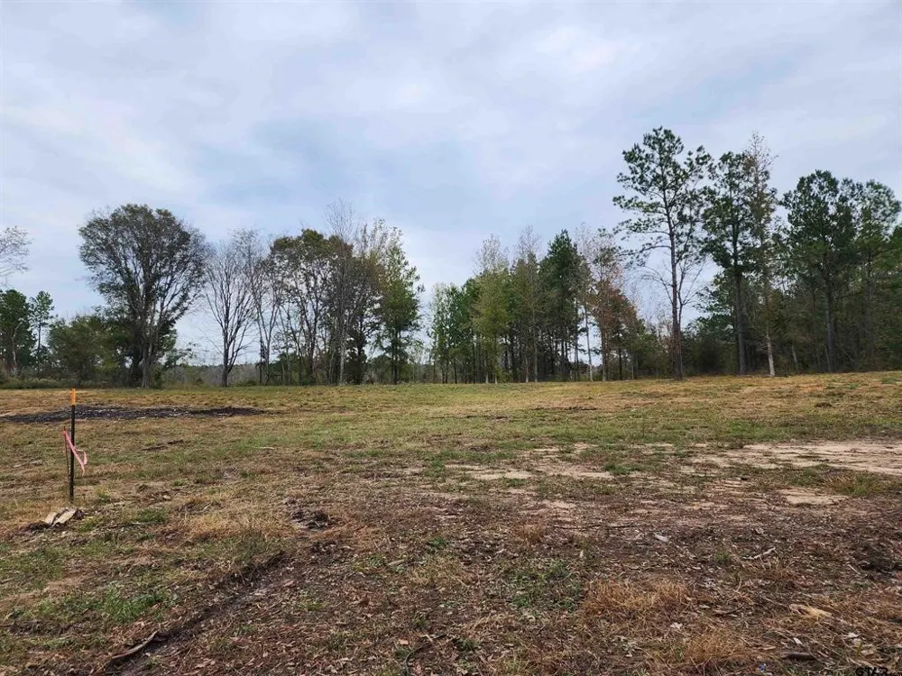 14414 Cr-363 Winona, TX 75792