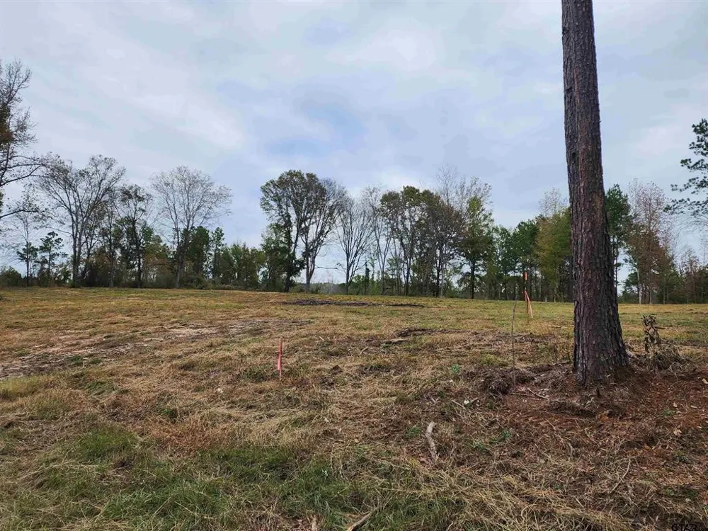14414 Cr-363 Winona, TX 75792