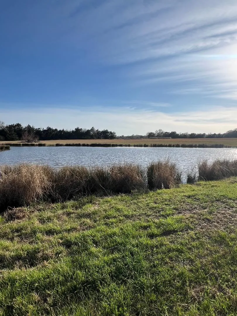 County Road 3501 Wills Point, TX 75169