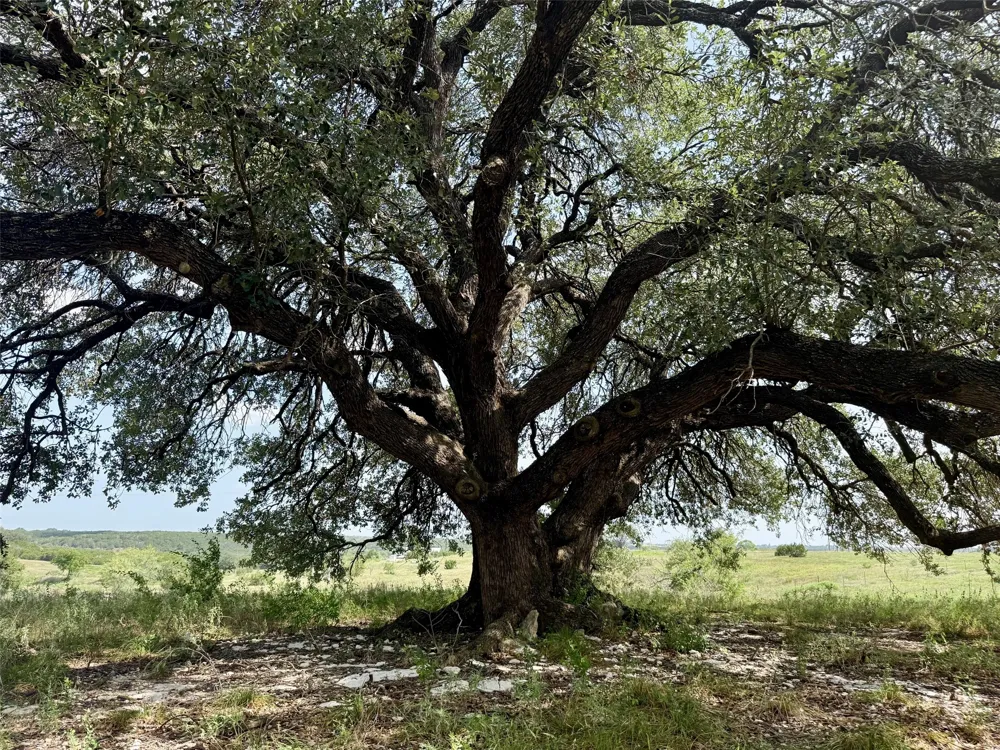 13 TBD PR FM 2905 Hamilton, TX 76531