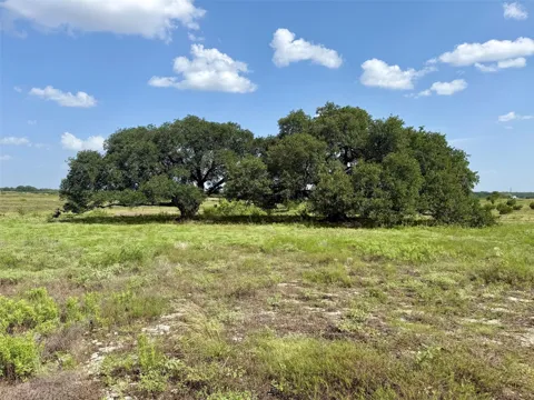 13 TBD PR FM 2905