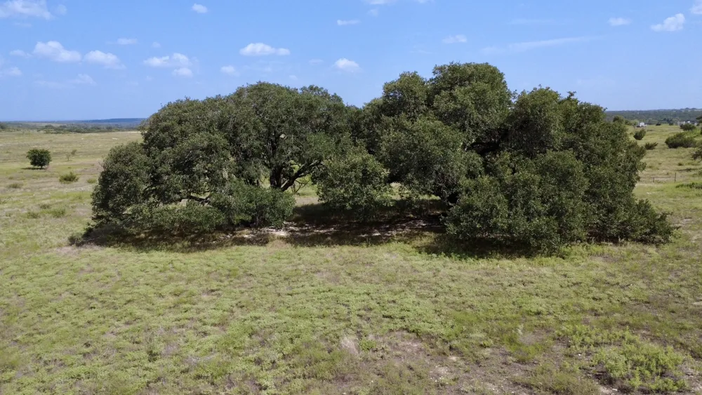 13 TBD PR FM 2905 Hamilton, TX 76531