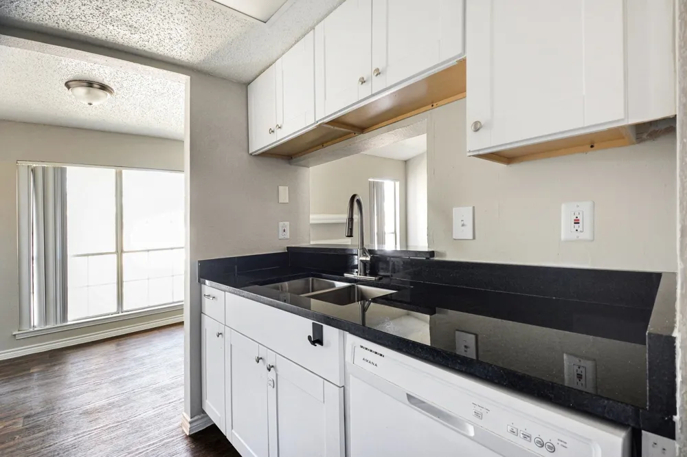 3615 W Northgate Drive #3 Units Irving, TX 75062