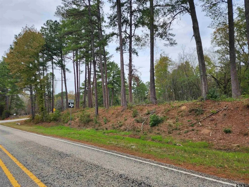 14442 Cr-363 Winona, TX 75792