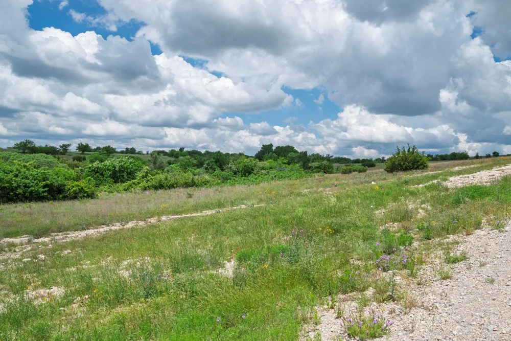 2500 Tom Chaney Granbury, TX 76049