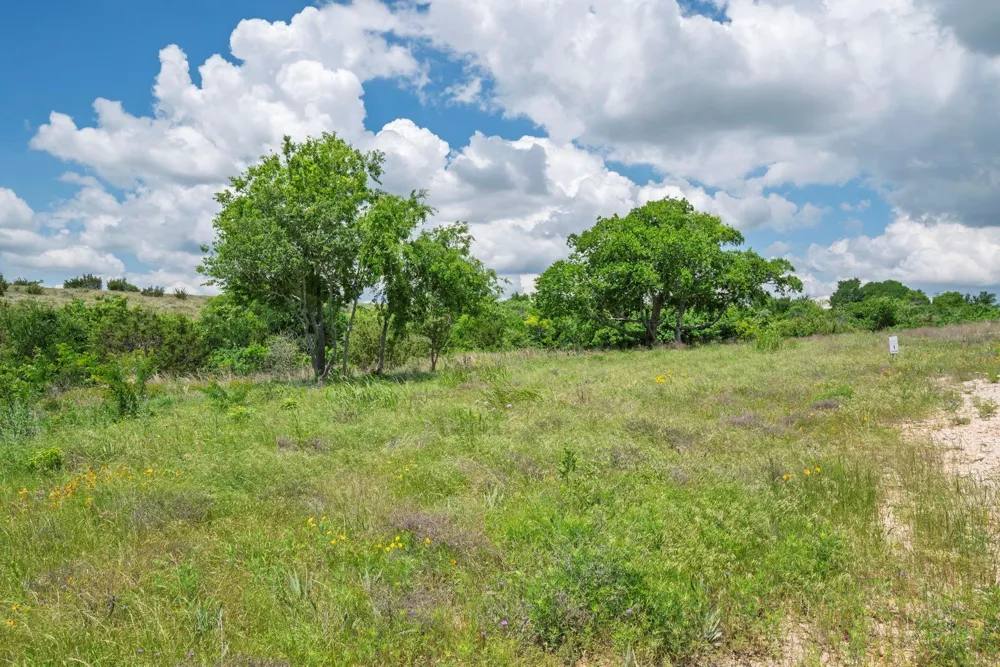 2500 Tom Chaney Granbury, TX 76049