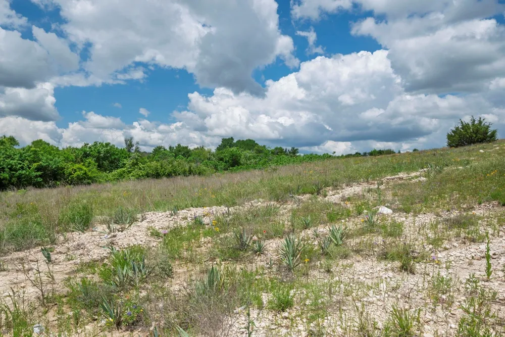 2500 Tom Chaney Granbury, TX 76049