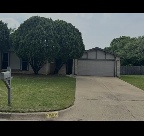 3701 South Court