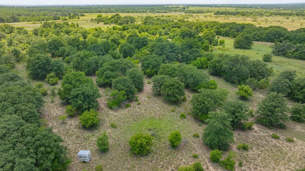301 County Road 193 Carbon, TX 76435