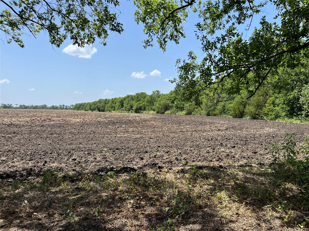 910 Kentucky Town Road Whitewright, TX 75491