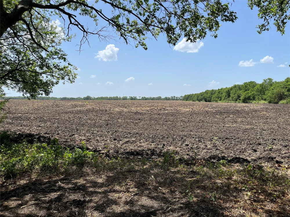 910 Kentucky Town Road Whitewright, TX 75491