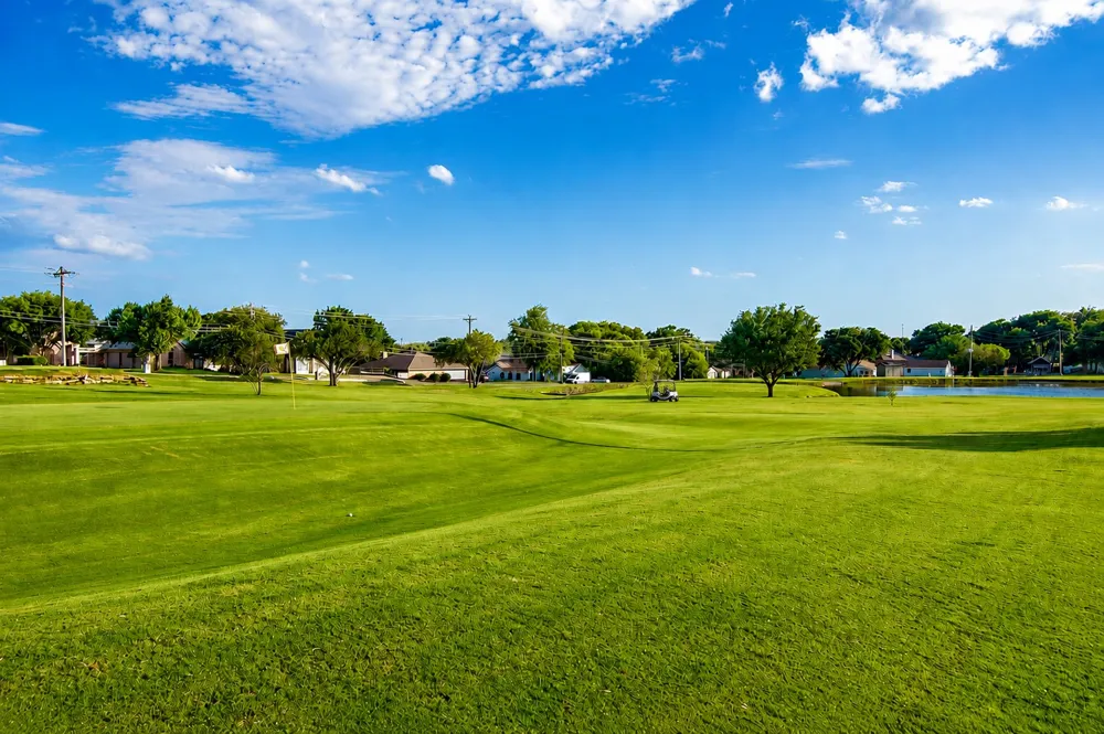 5132 Fairway Circle De Cordova, TX 76049