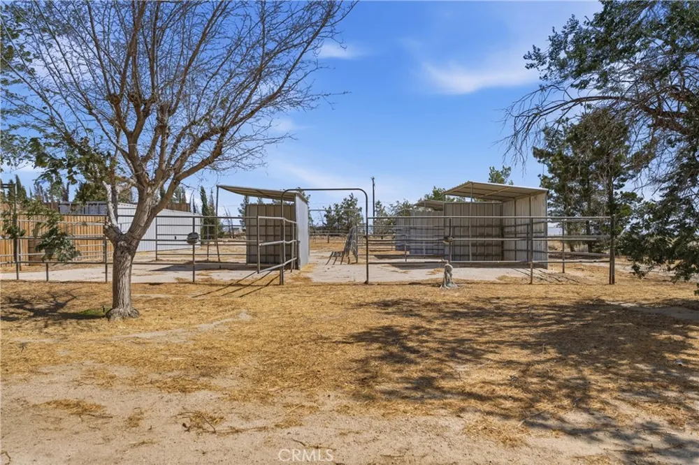 5653 Willow Avenue Rosamond, CA 93560