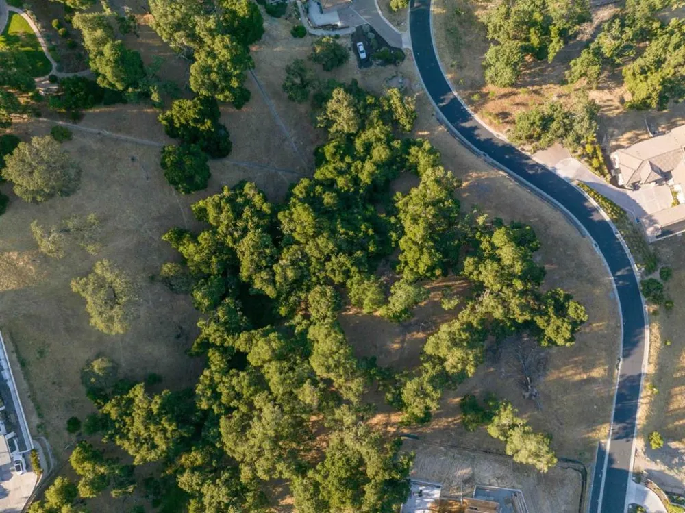 9045 Tea Tree Way Gilroy, CA 95020