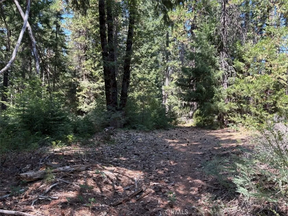 9936 Fobes Unincorporated, CA 92256