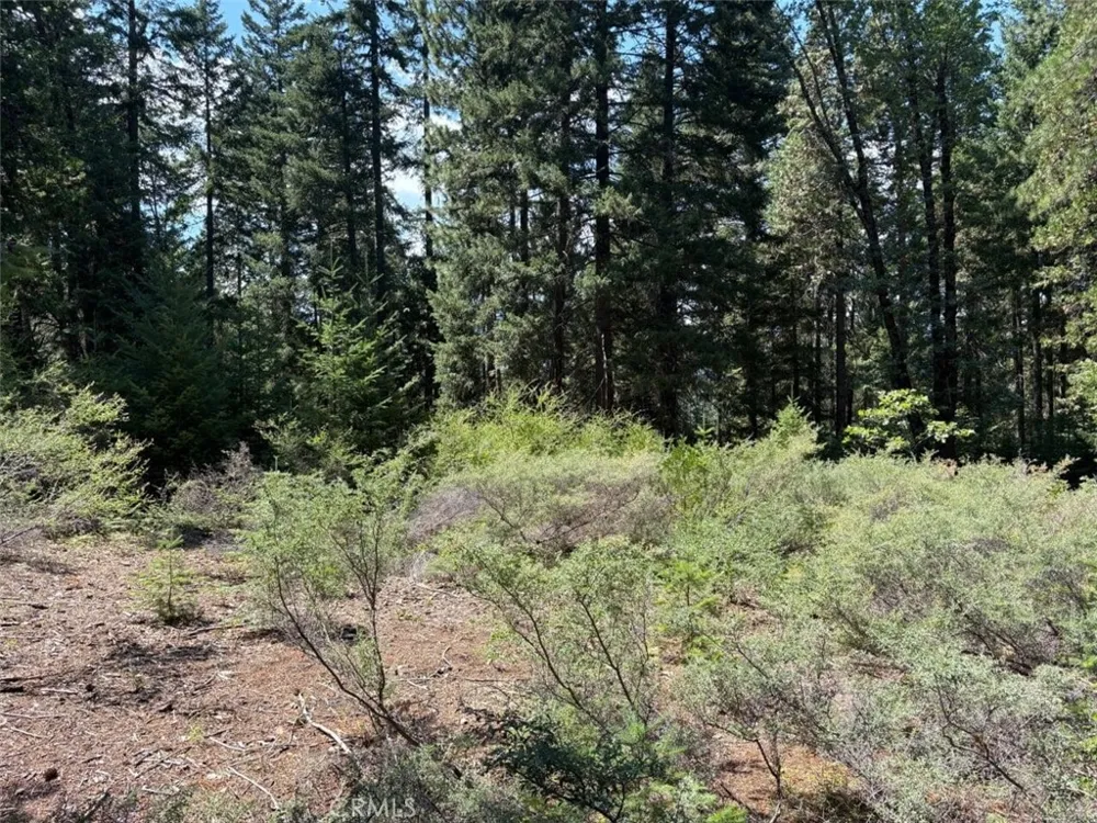 9936 Fobes Unincorporated, CA 92256