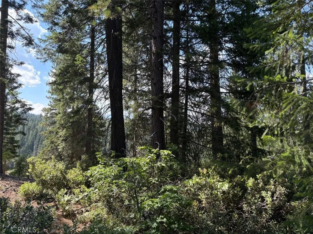 9936 Fobes Unincorporated, CA 92256