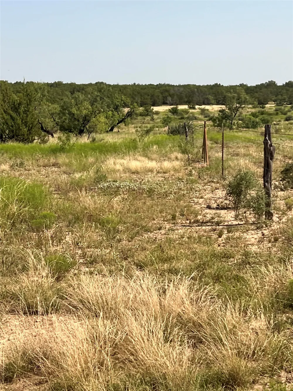 Fm 1929 Paint Rock, TX 76866