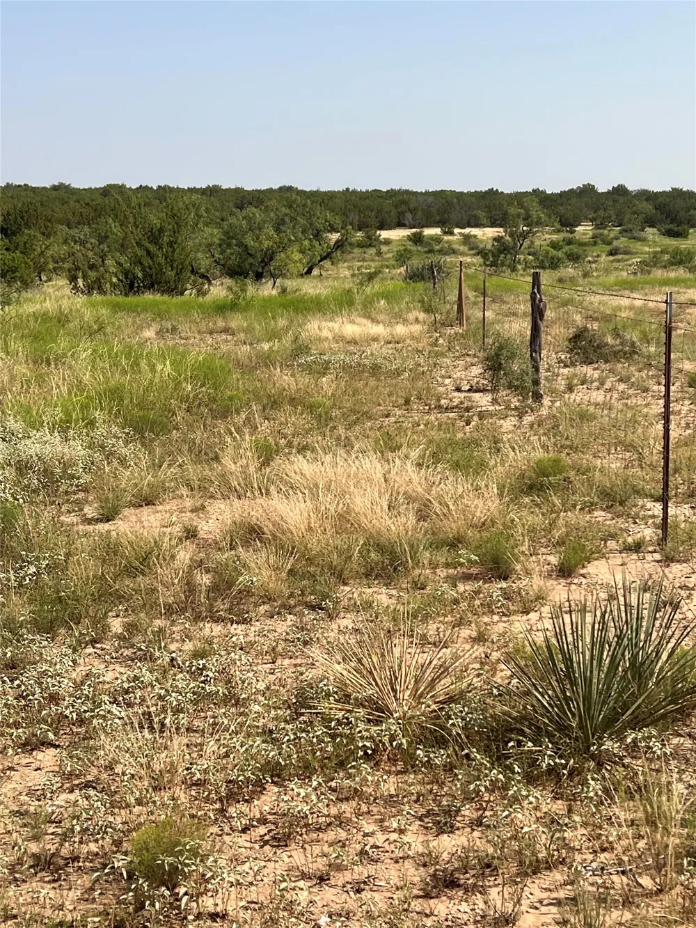 Fm 1929 Paint Rock, TX 76866