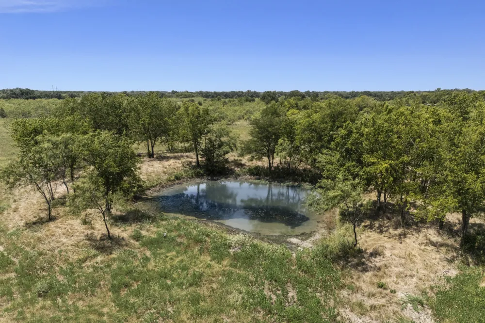 County Rd 301 Terrell, TX 75160