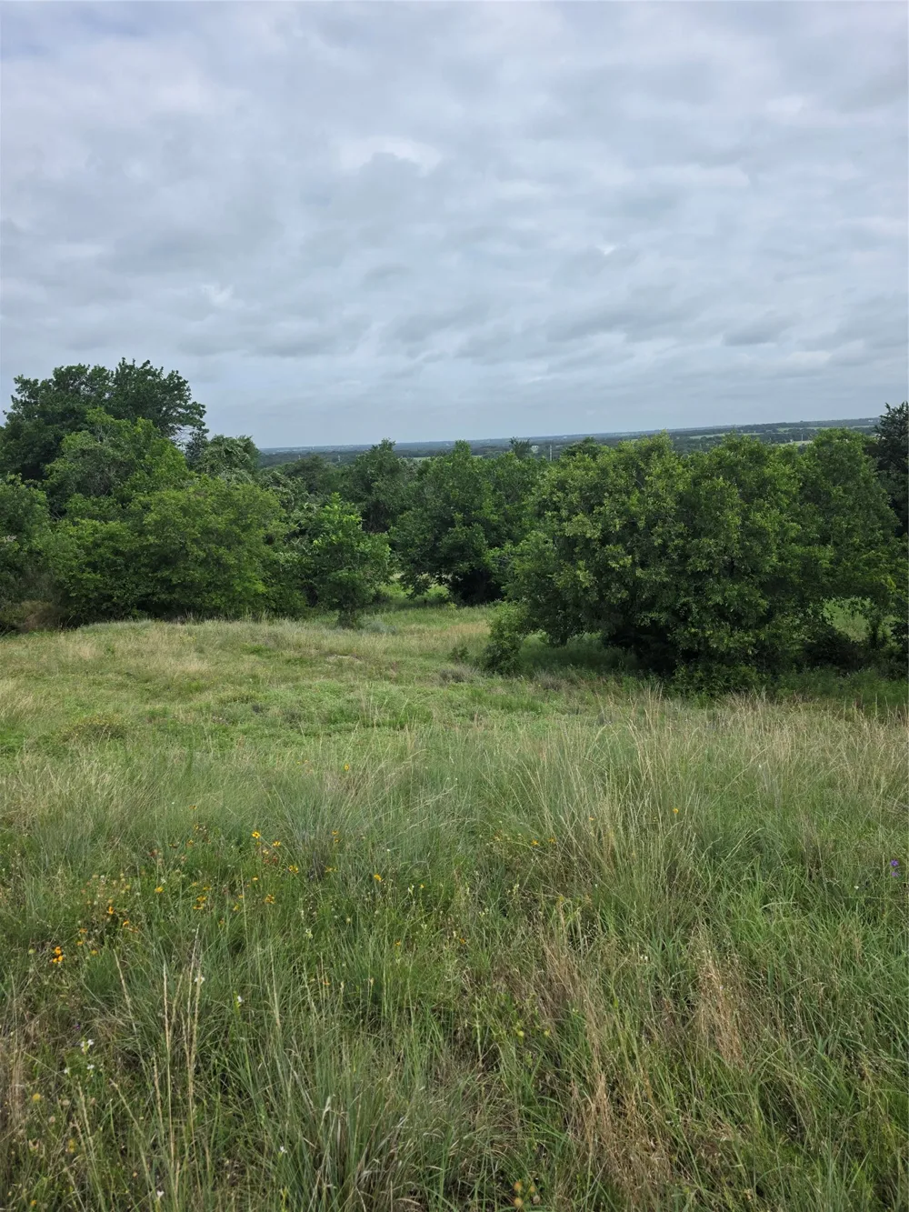 Derting Road Aurora, TX 76078