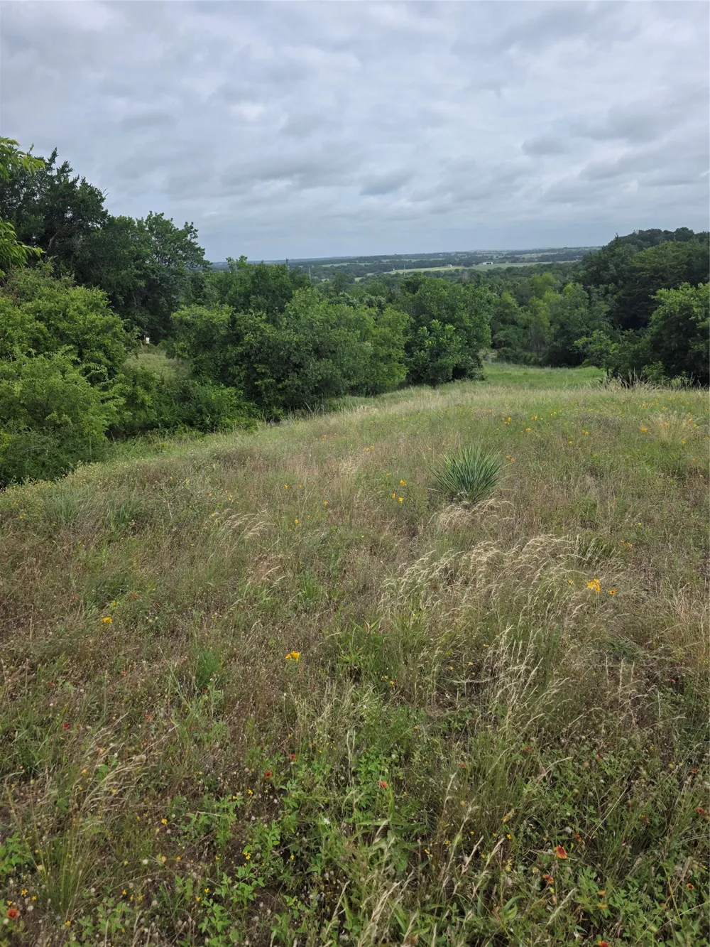 Derting Road Aurora, TX 76078