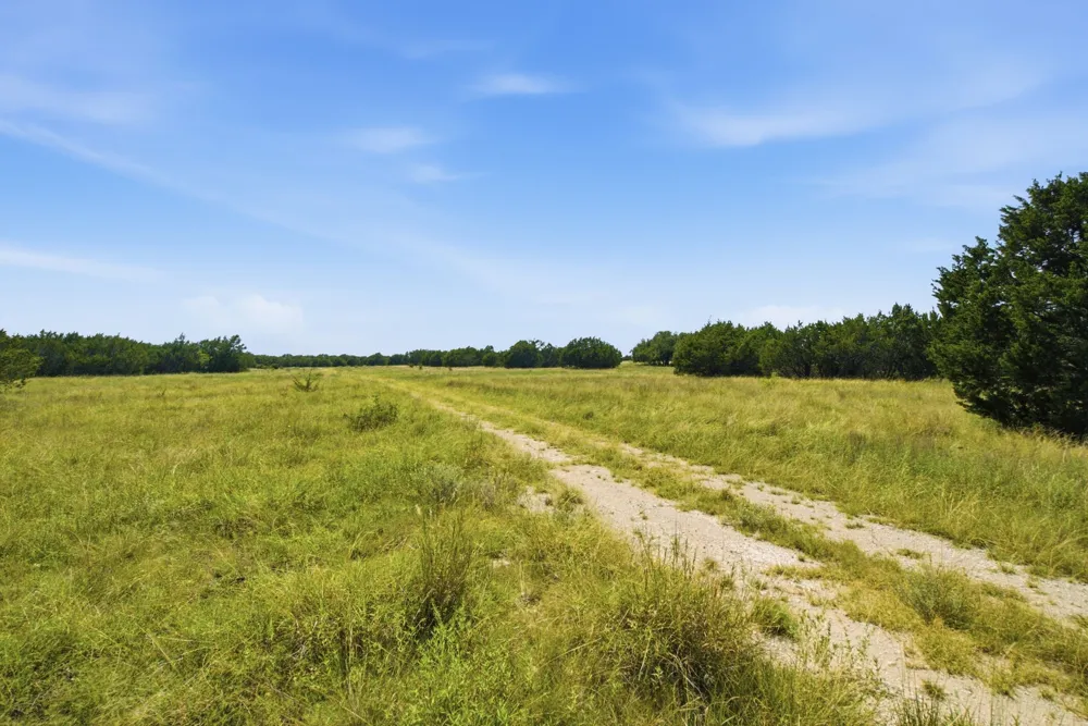 Fm 216 #89 Iredell, TX 76649