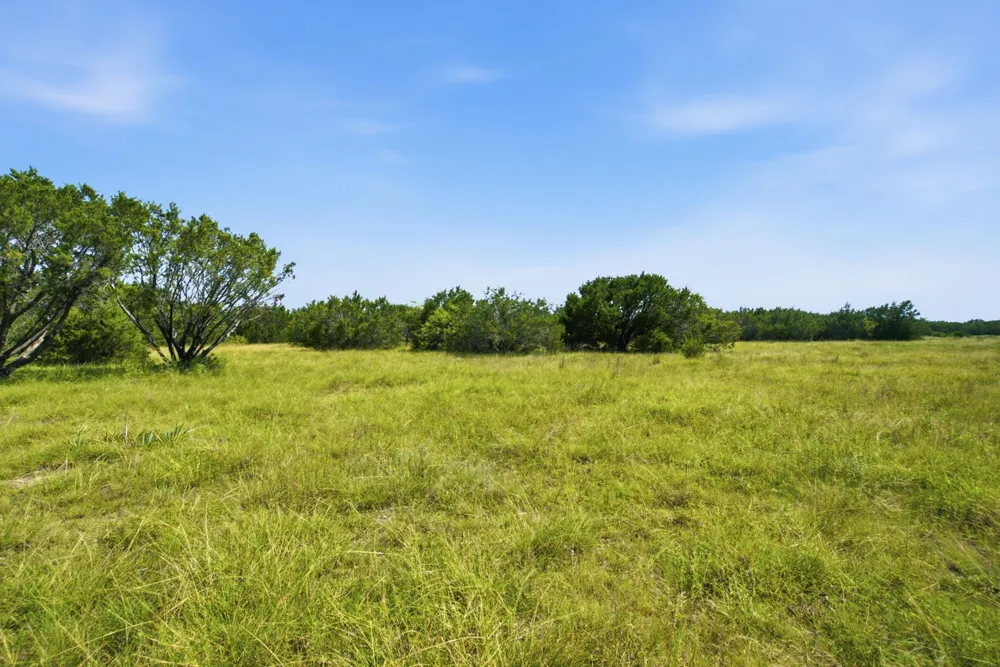 Fm 216 #89 Iredell, TX 76649
