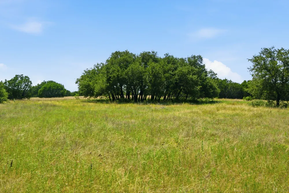 Fm 216 #89 Iredell, TX 76649