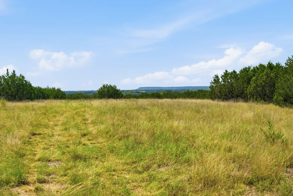 Fm 216 #89 Iredell, TX 76649