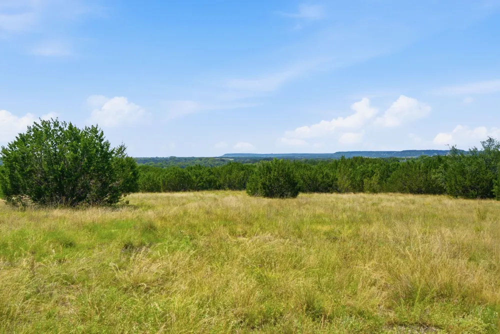 Fm 216 #89 Iredell, TX 76649