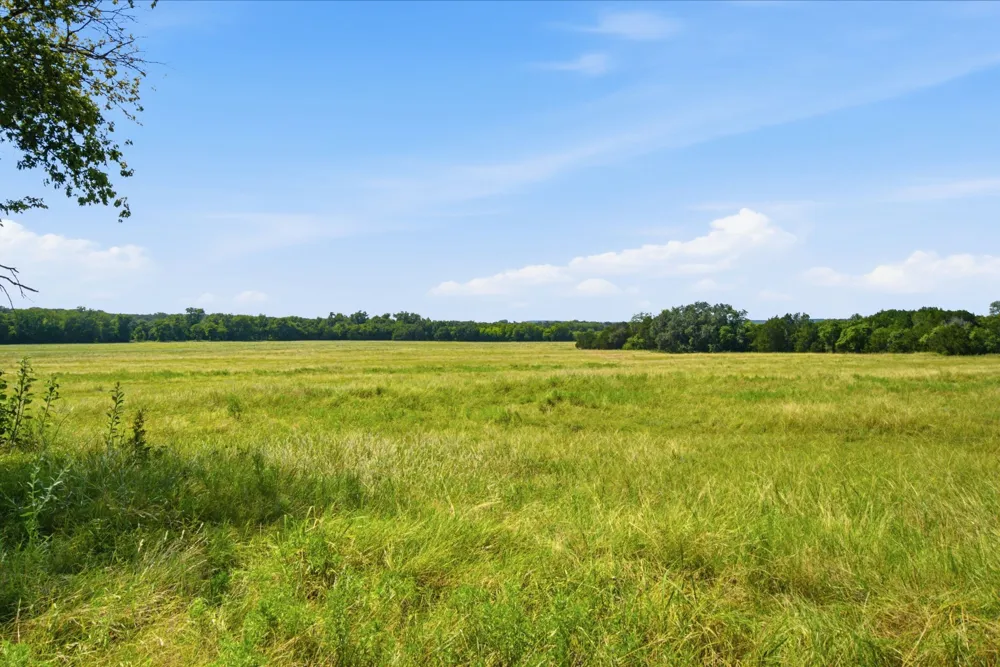 Fm 216 #89 Iredell, TX 76649