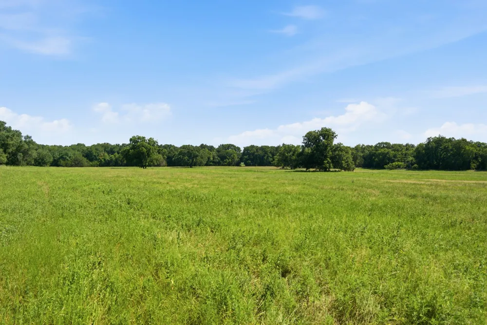 Fm 216 #89 Iredell, TX 76649
