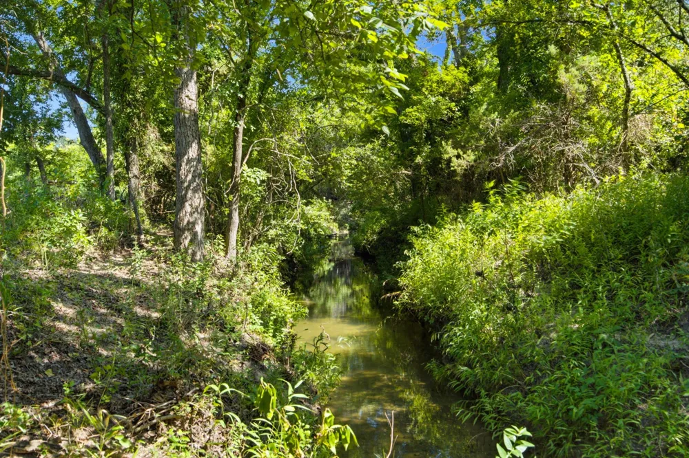 Fm 216 #89 Iredell, TX 76649