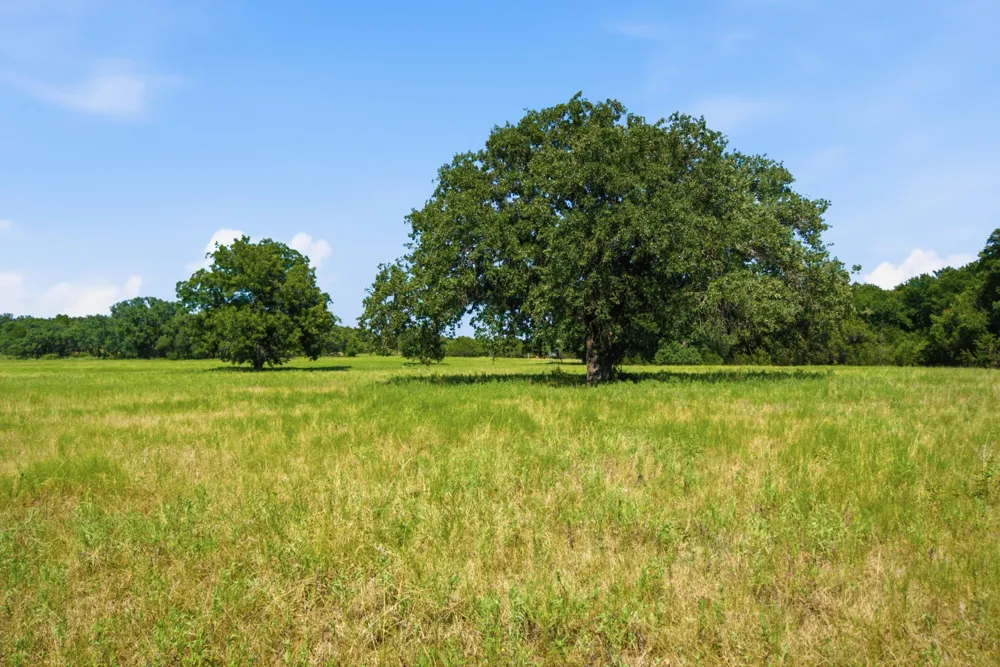 Fm 216 #89 Iredell, TX 76649