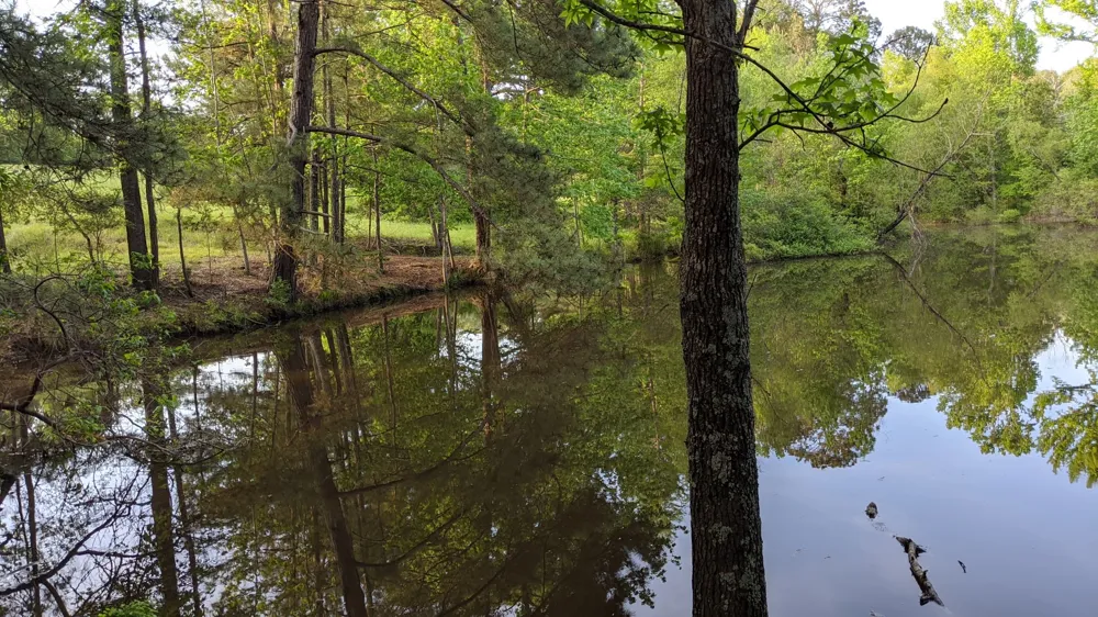 113 Breezy Road Gibsland, LA 71028
