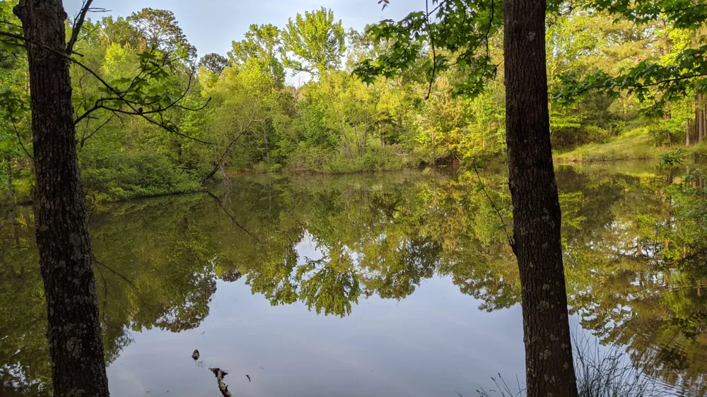 113 Breezy Road Gibsland, LA 71028