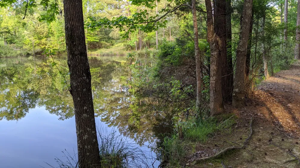 113 Breezy Road Gibsland, LA 71028