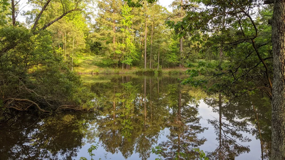 113 Breezy Road Gibsland, LA 71028