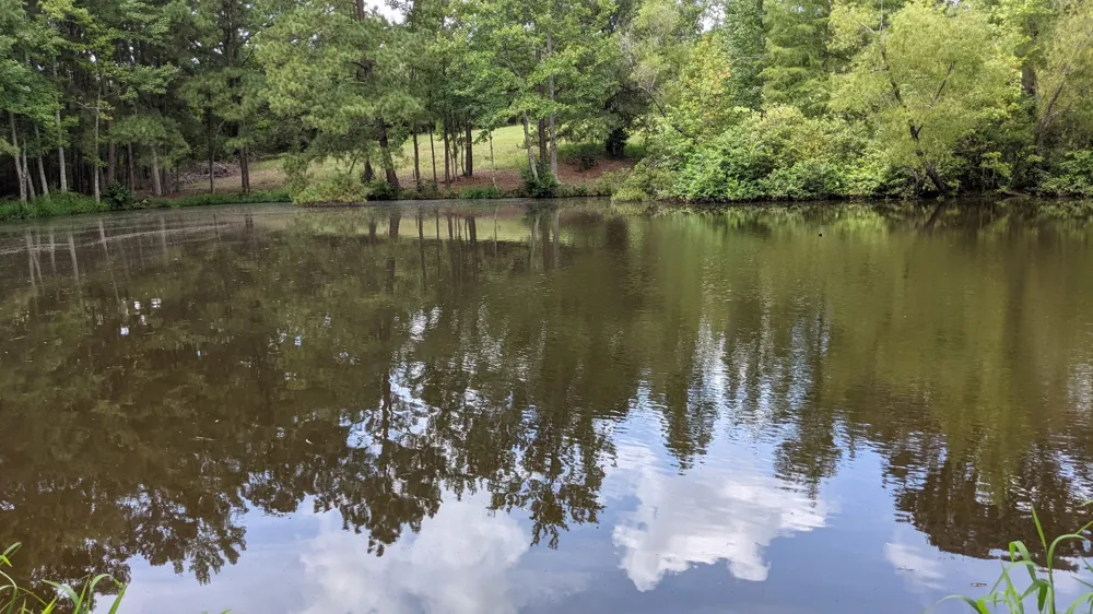 113 Breezy Road Gibsland, LA 71028