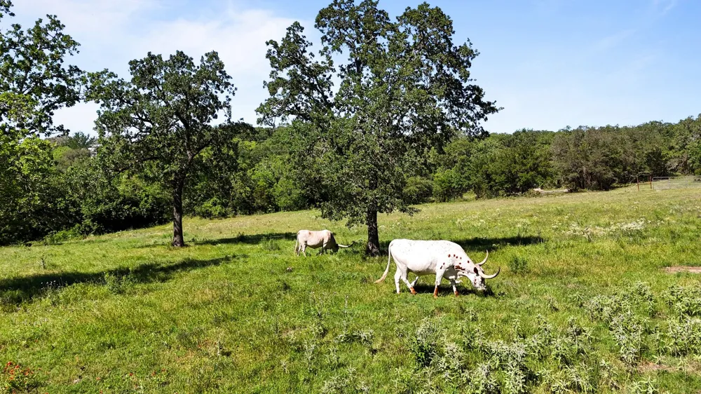 156 Private Road 3626 Springtown, TX 76082