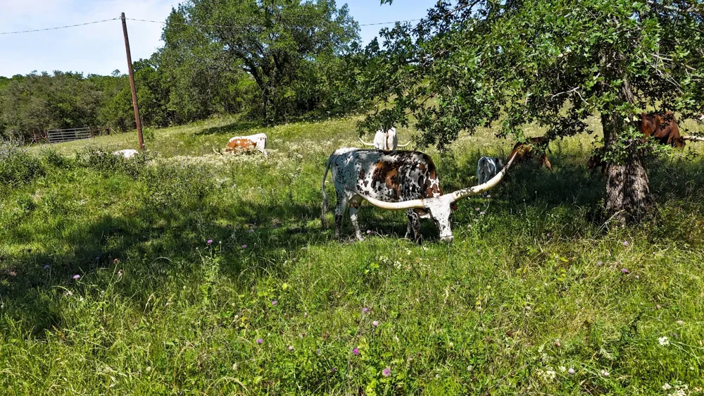 156 Private Road 3626 Springtown, TX 76082