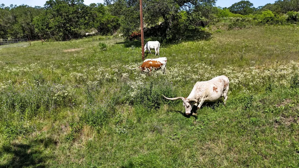 156 Private Road 3626 Springtown, TX 76082